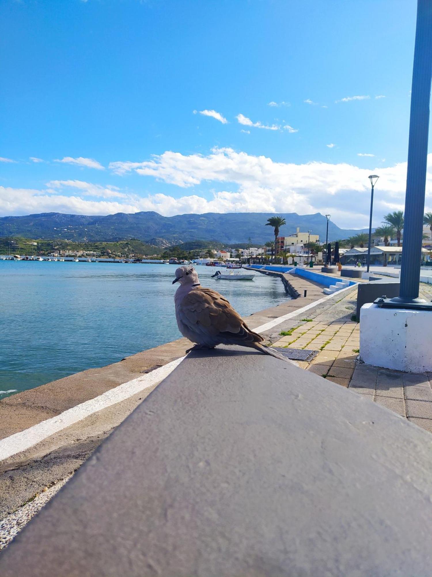 Seaside Breeze Sitia (Crete)